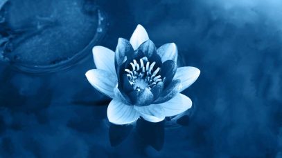 color-azul-1 (1)