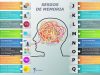 sesgos-de-memoria1
