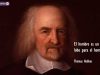 Frases-Thomas-Hobbes