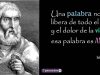 sofocles-frases