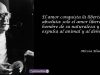 Mircea-Eliade-frases