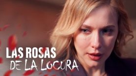 maxresdefault-13-1-565×318