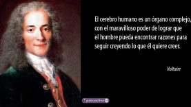 voltaire-frases