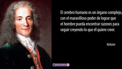 voltaire-frases